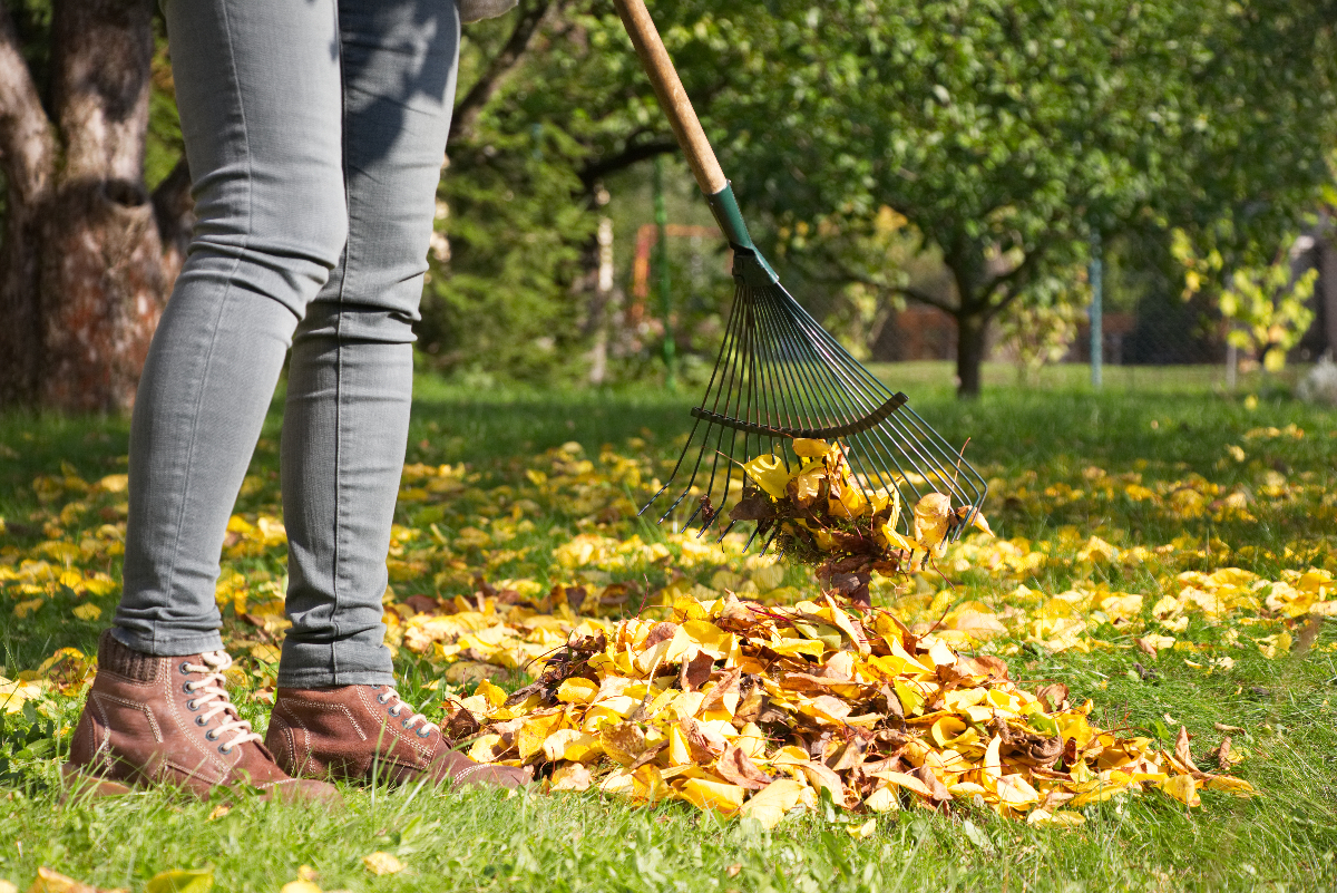 You are currently viewing How to Protect your Back when Raking