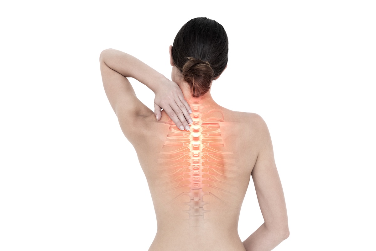 Read more about the article FAQs About The Spine