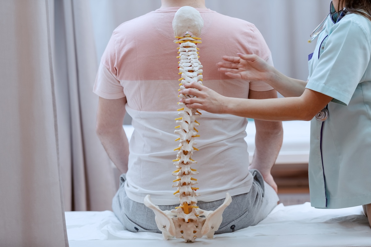 Read more about the article Functions About The Spine