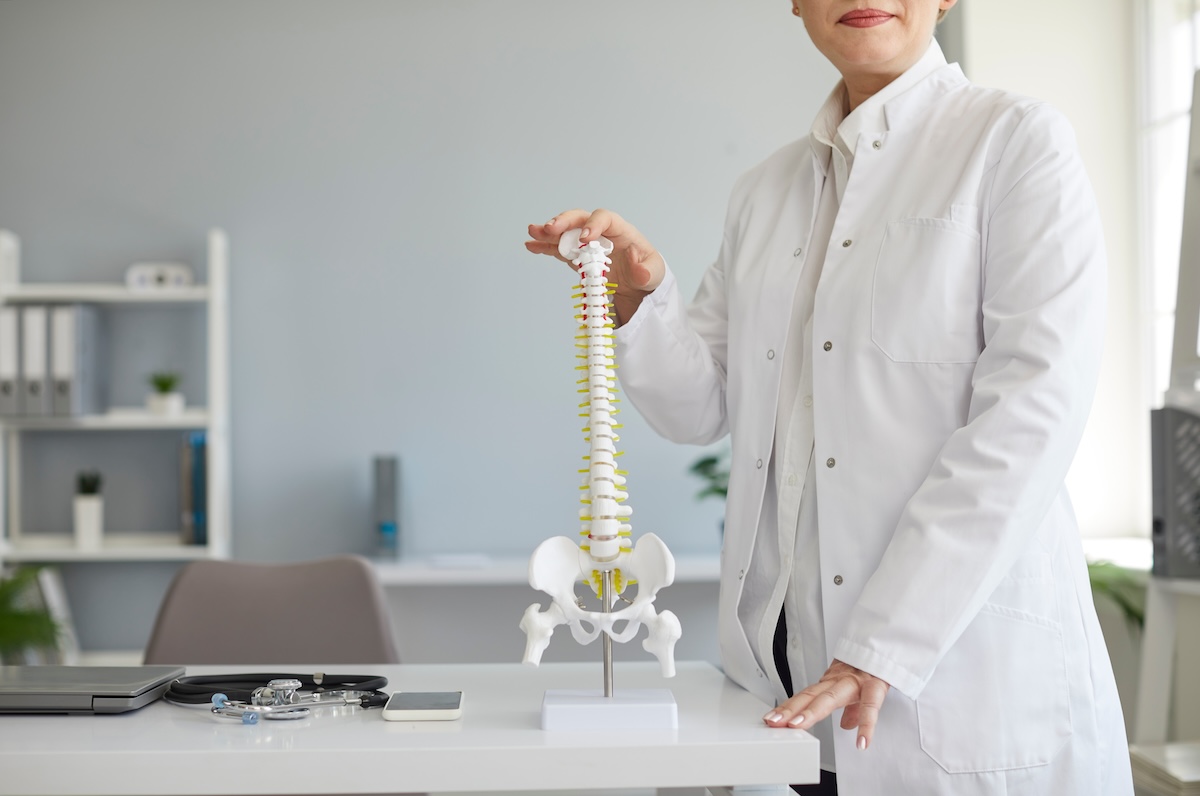 Read more about the article How a Healthy Spine Boosts Your Energy