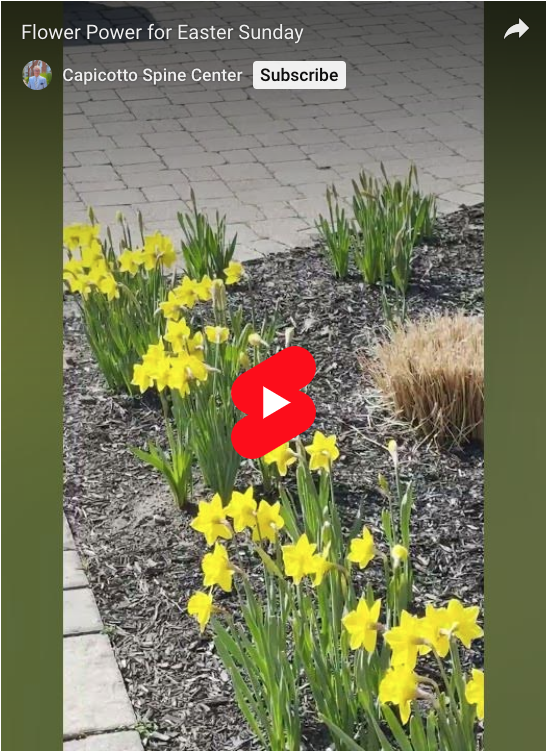 Read more about the article Flower Power for Easter Sunday