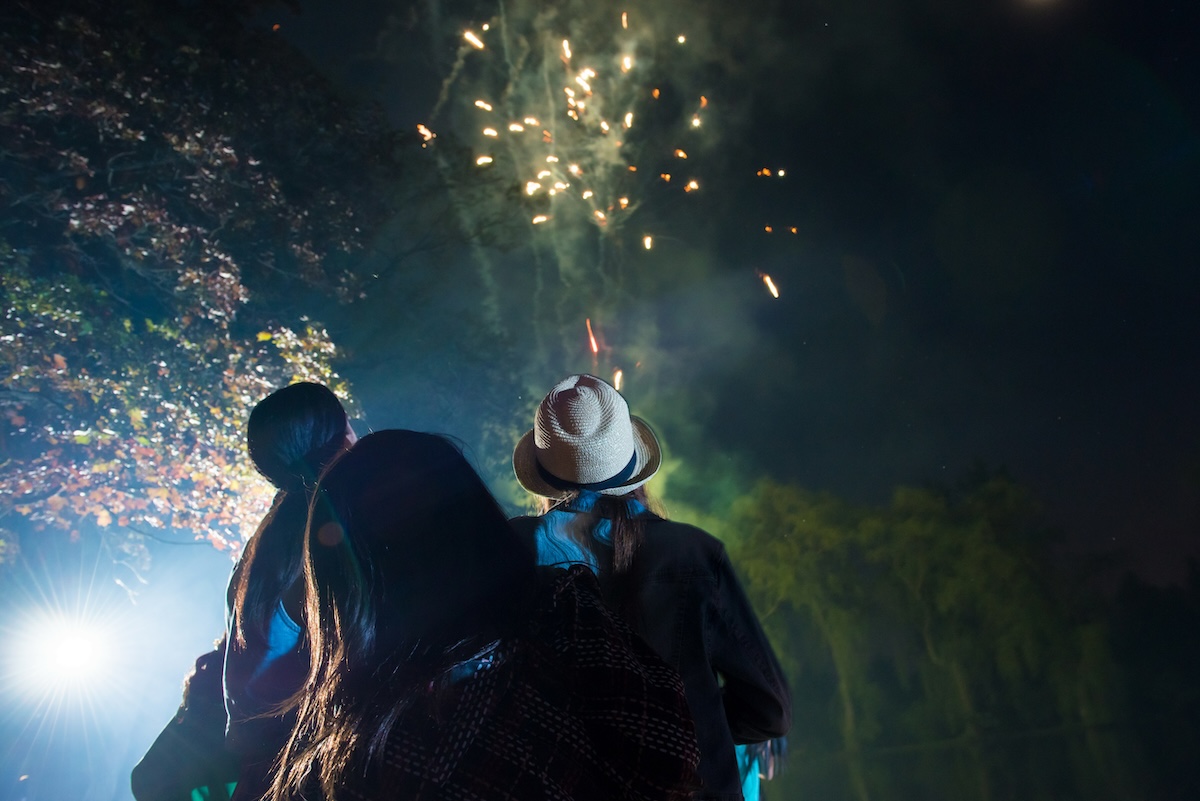 Read more about the article How to Avoid Back Pain While Watching Summer Fireworks