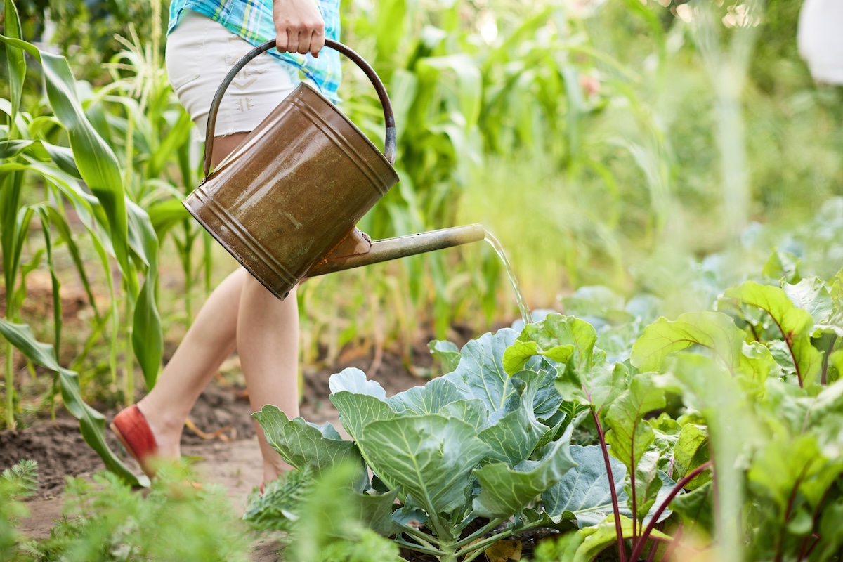 Read more about the article Common Summer Stressors That Trigger Back Pain