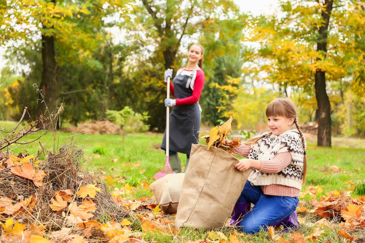 Strategies For Protecting Your Spine This Fall