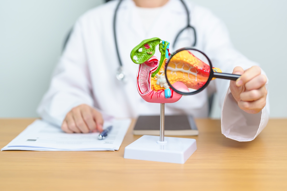 Read more about the article The Link Between Gut Health and Spine Health