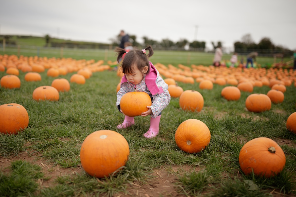 Read more about the article Pumpkin Picking Without Back Pain