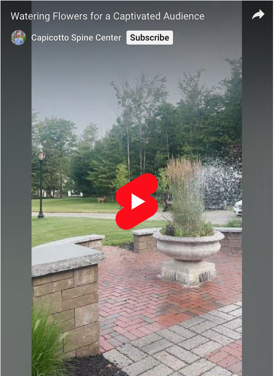 Read more about the article Watering Flowers for a Captivated Audience
